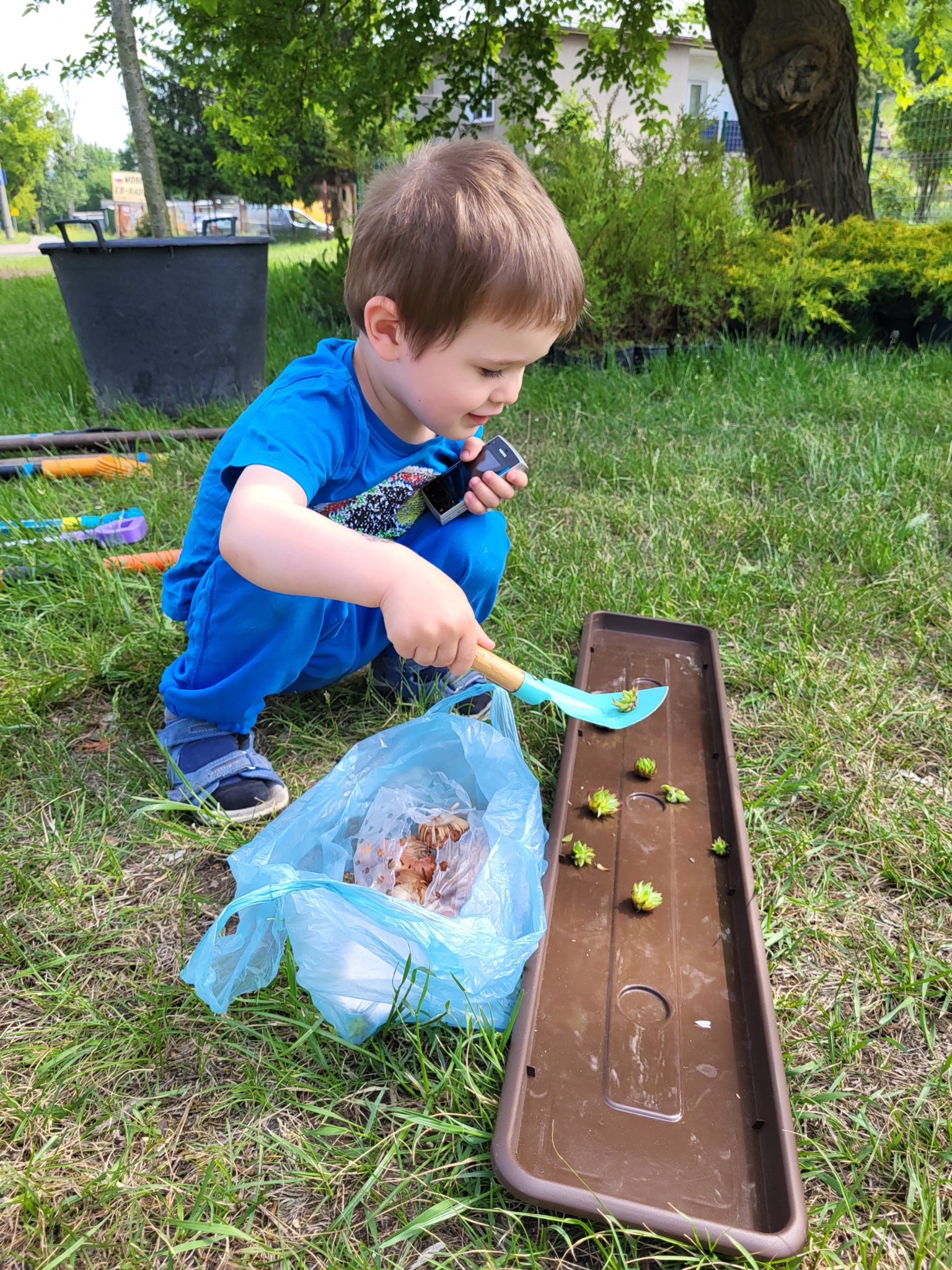 zielone_interwencje_101400