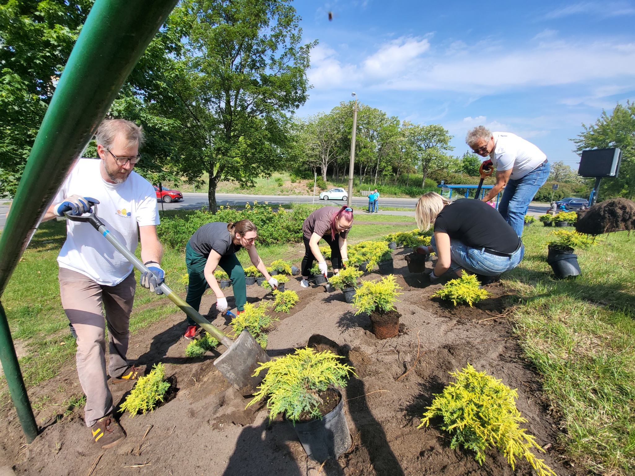 zielone_interwencje_102336
