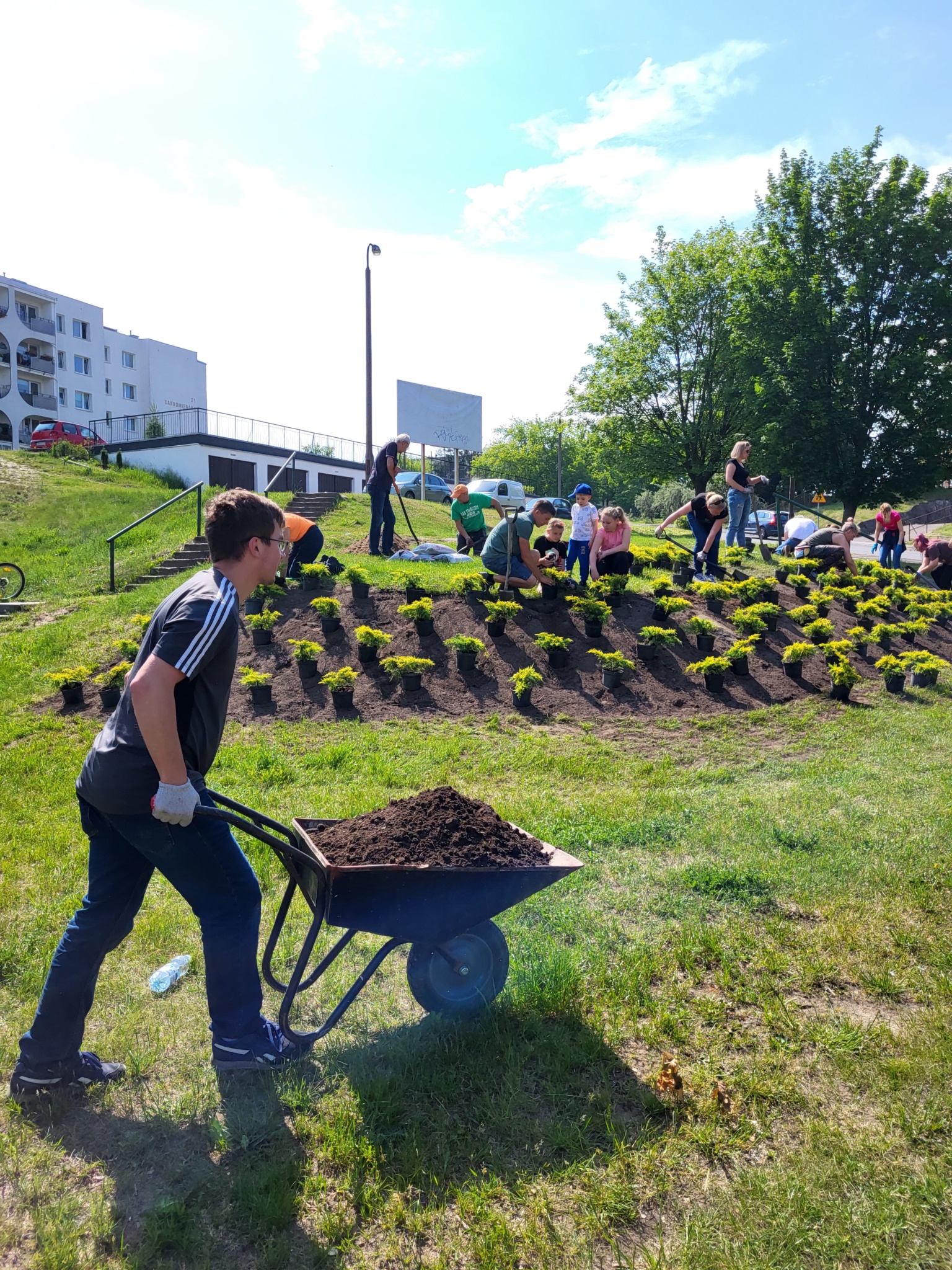 zielone_interwencje_102722