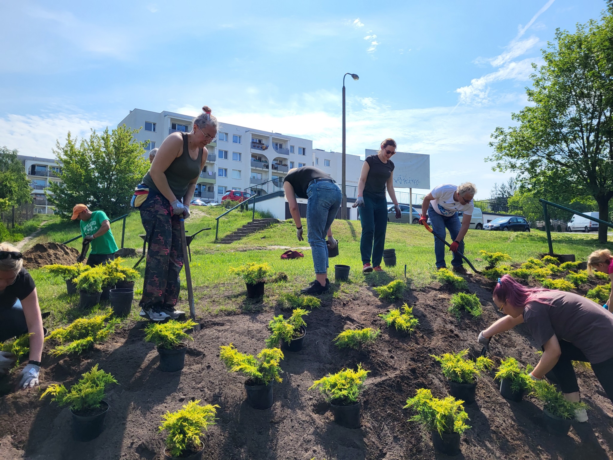 zielone_interwencje_102943