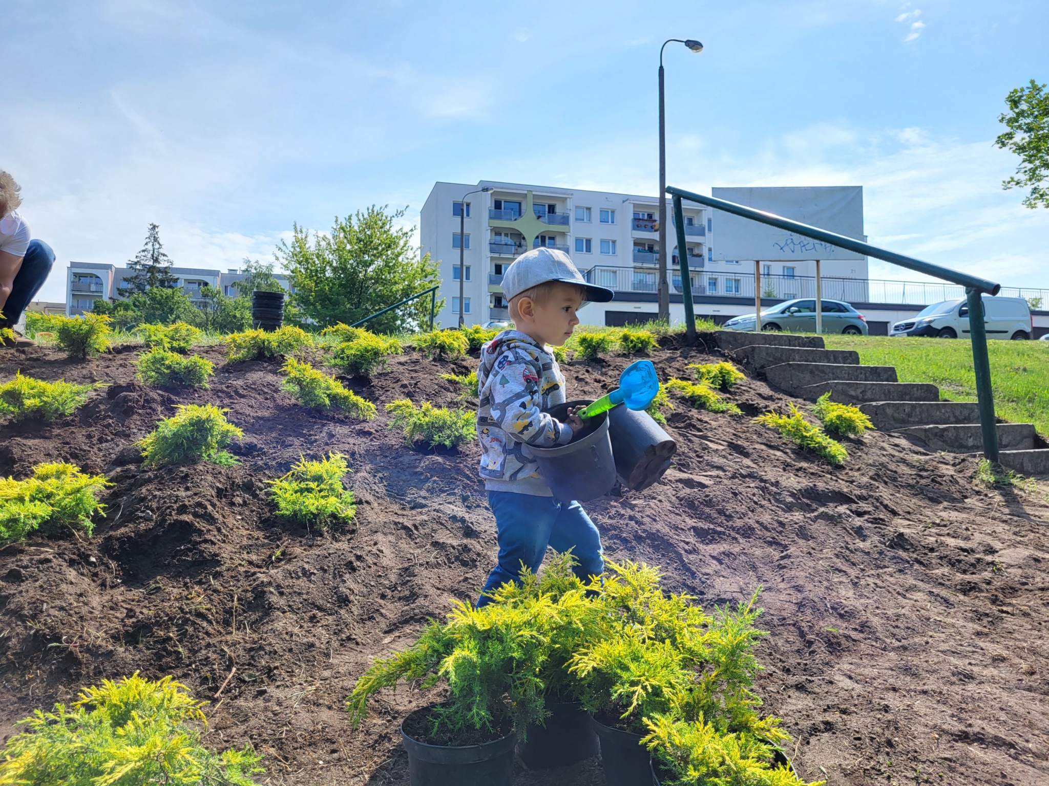 zielone_interwencje_103000