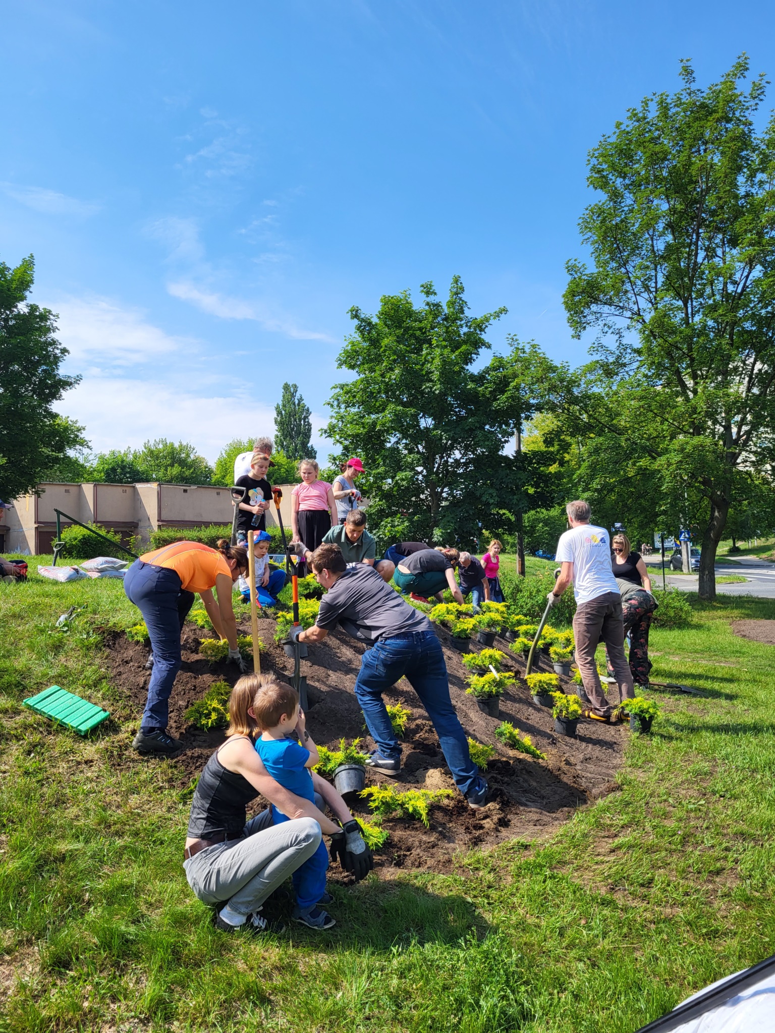 zielone_interwencje_103411