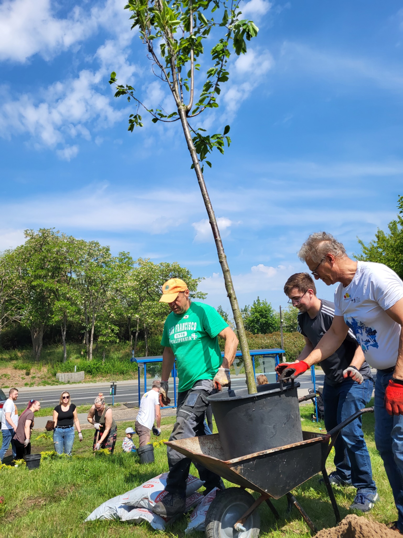 zielone_interwencje_103847