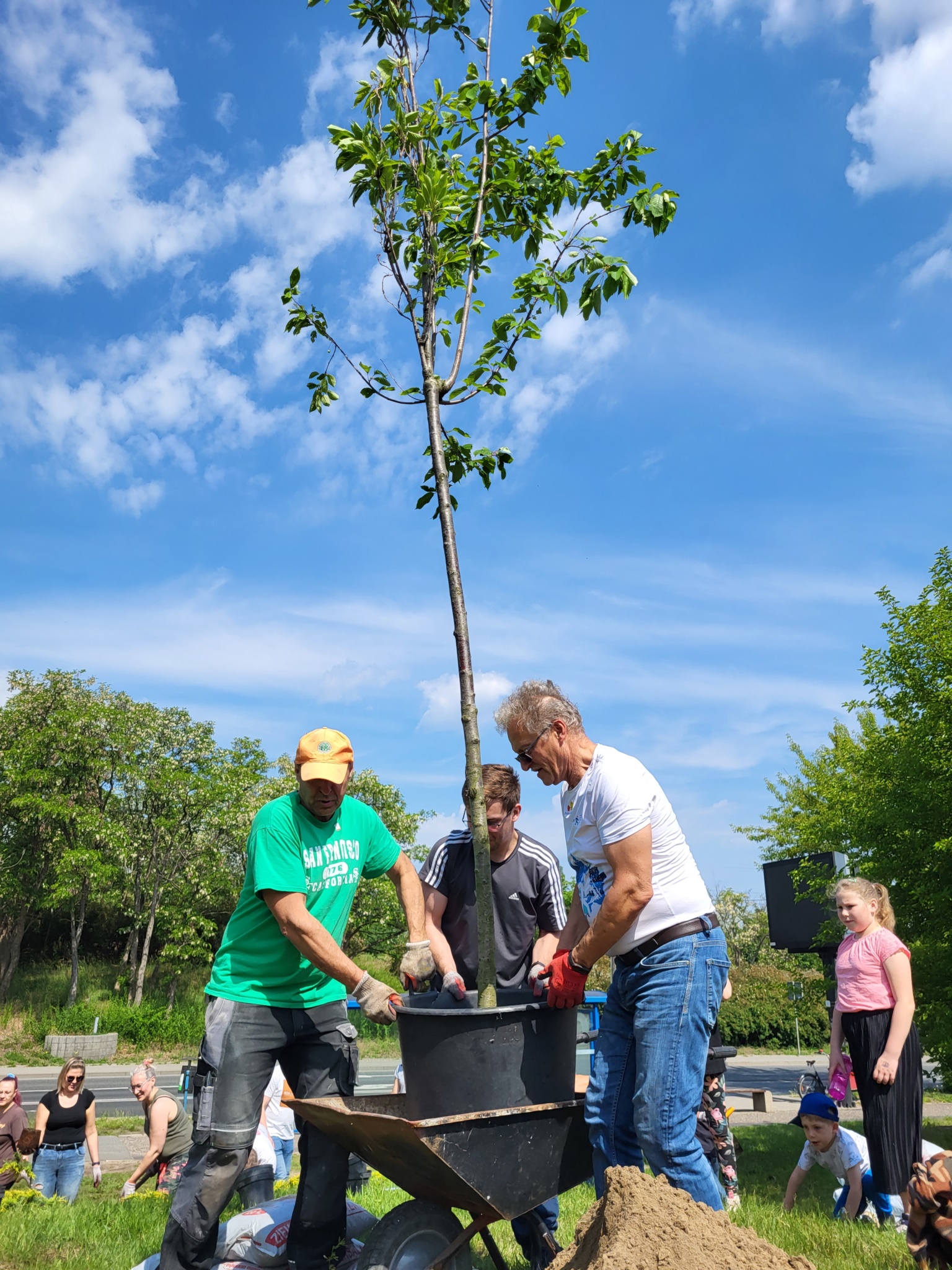 zielone_interwencje_103852
