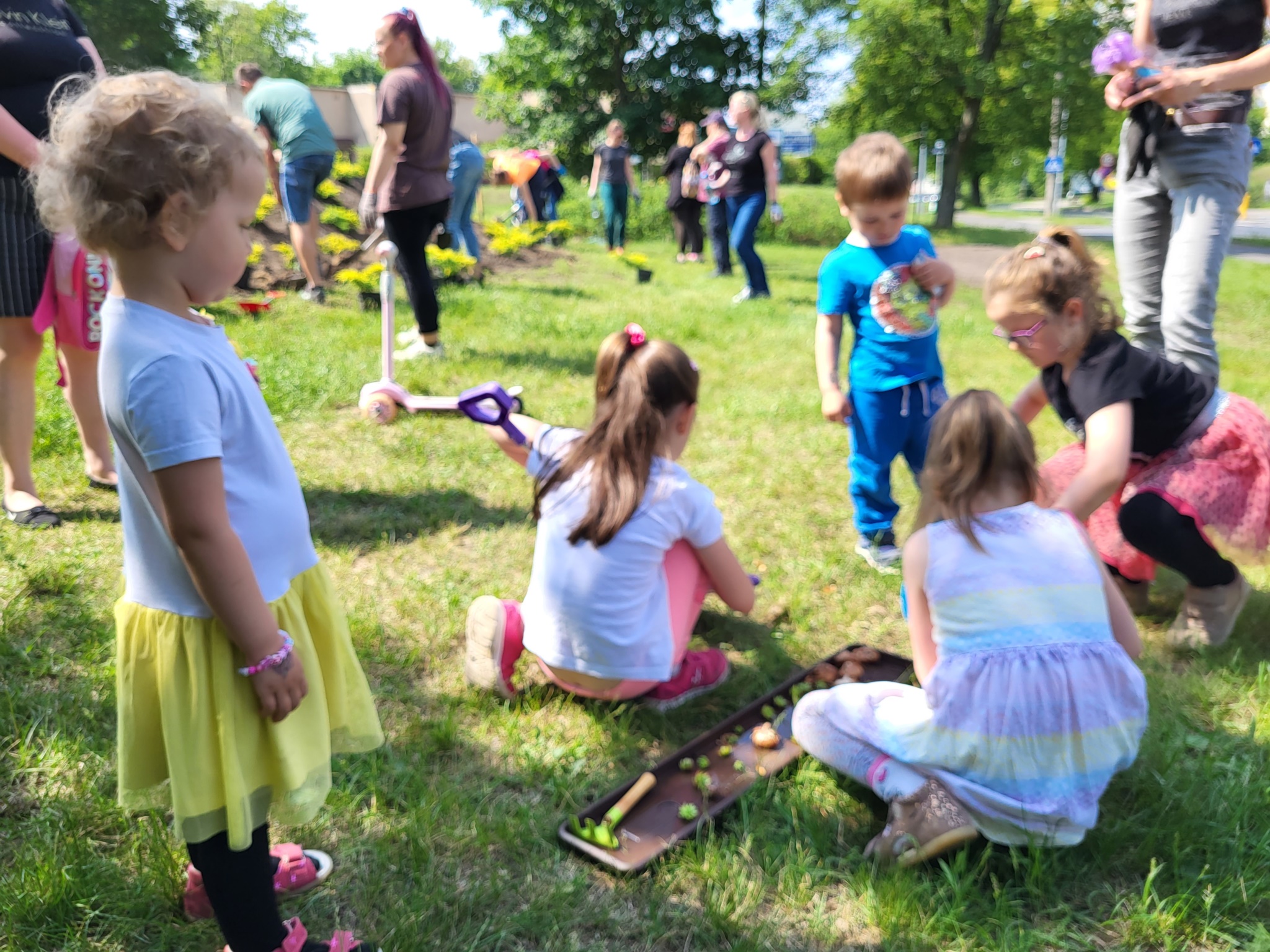 zielone_interwencje_104235